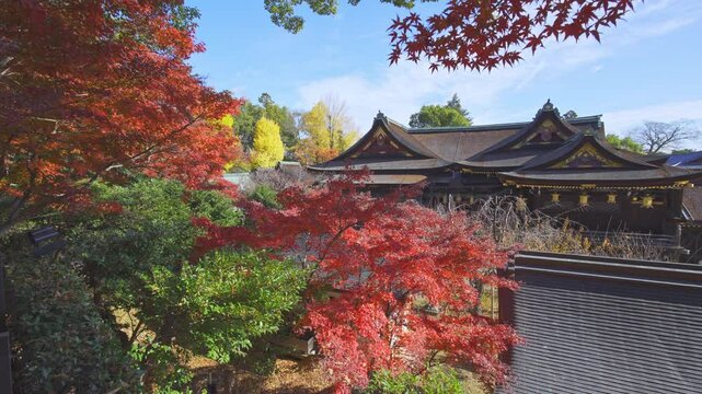 京都　北野天満宮の本殿と紅葉