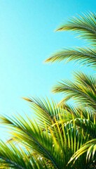 Fototapeta premium Palm tree leaves gently swaying in the breeze under a bright blue sky, peaceful, serene, nature