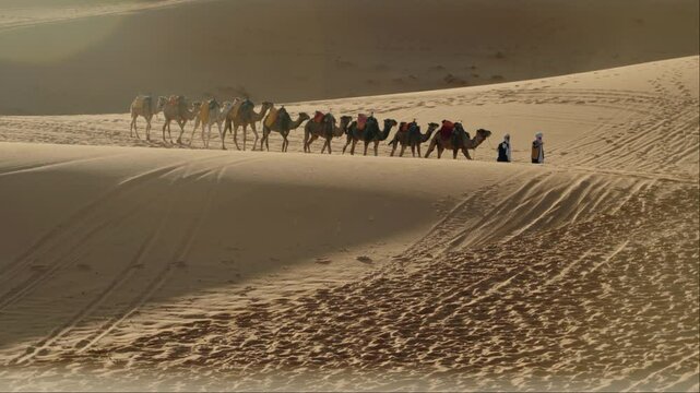 Camel Caravan Trekking Across the Sahara Desert at Sunrise. A captivating scene of a traditional camel caravan traversing the vast expanse of the Sahara Desert. The warm glow of the rising sun casts