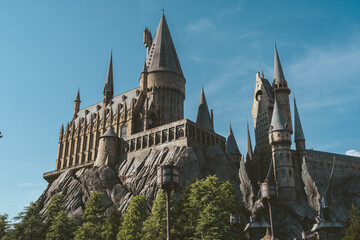 A castle in Gothic style