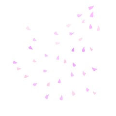 ピンクの花吹雪