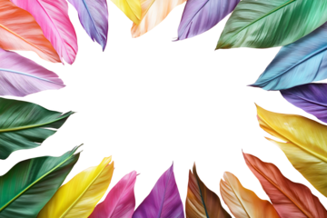 Tropical leaf border frame made with various fresh green, yellow, purple, blue leaves isolated on cut out PNG or transparent background. Top view. Greeting cards. Minimal summer exotic concept.