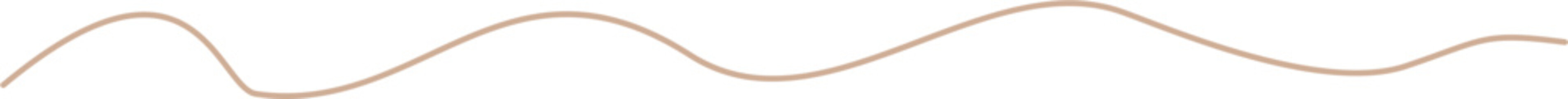 border line doodle decoration 