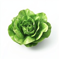 Fototapeta premium Fresh Green Lettuce Icon in High Resolution 3D Visualization