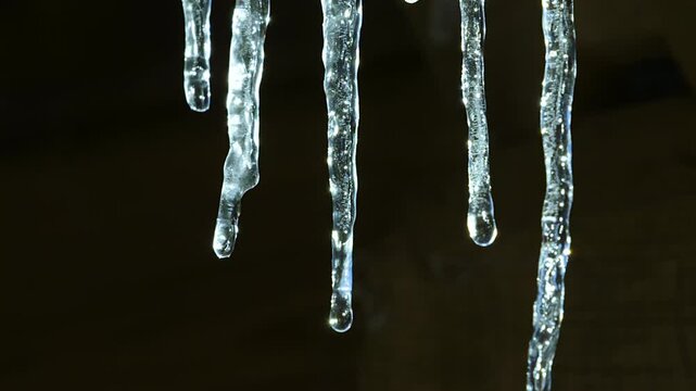 Closeup of small row of icicle tips melting and dripping. Slow motion.