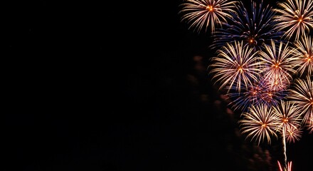 Fototapeta premium Spectacular Fireworks Display at Night Festive Celebration Pyrotechnics Show