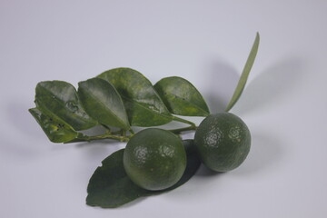 Fresh looking oranges ready to be made into a drink