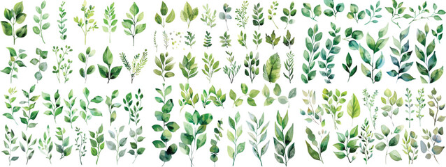 Green leaf branches collection. Watercolor floral set. Leaf branches for greetings, fashion, eucalyptus, olive, cloth, print, invitation, card, wedding, graphic, art, pattern, template, clip art  © Pixel Park