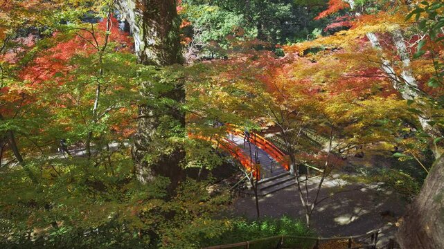 京都　北野天満宮のもみじ苑を見渡す