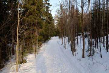 Winter