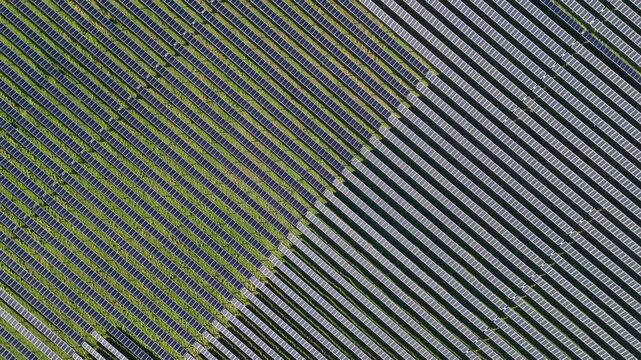 Panoramic Aerial View of a Solar Farm in Le Pouzin, Ardeche, with Sunlight Illuminating the Panels, Featuring Vibrant Green Grass and Unique Patterns Created by Panel Inclination.