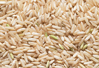 Brown Rice Macro Background