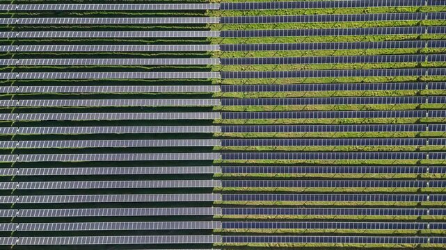 Panoramic Aerial View of a Solar Farm in Le Pouzin, Ardeche, with Sunlight Illuminating the Panels, Featuring Vibrant Green Grass and Unique Patterns Created by Panel Inclination.