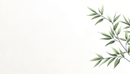 Fototapeta premium Elegant green leaves gently cascading against a soft white background, creating a serene atmosphere