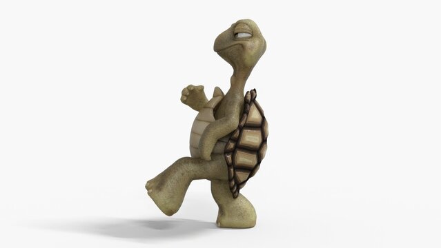 Toon Tortoise Isolated on white