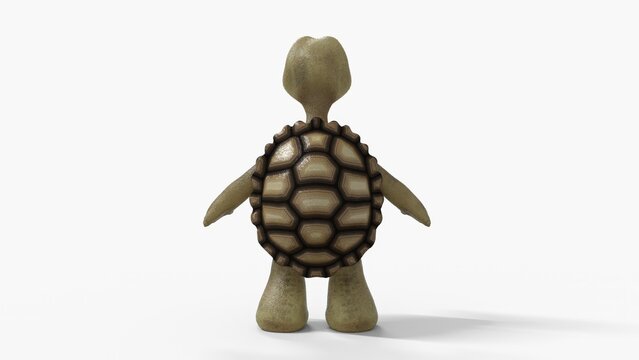 Toon Tortoise Isolated on white
