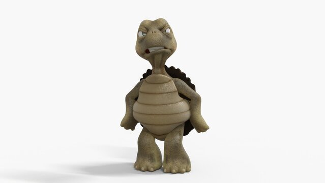 Toon Tortoise Isolated on white