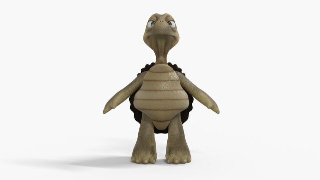 Toon Tortoise Isolated on white