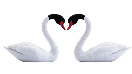 Fototapeta premium Two elegant swans forming a heart shape with their necks, symbolizing love and unity. transparent background