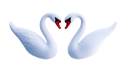Fototapeta premium Two elegant swans forming a heart shape with their necks. transparent background
