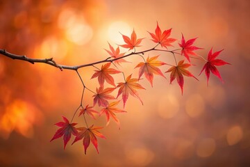 Autumnal Branch with Vibrant Red Maple Leaves Against a Soft, Golden Bokeh Background