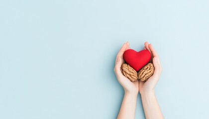 Hands holding a red heart and walnuts against a light blue background, symbolizing love and health