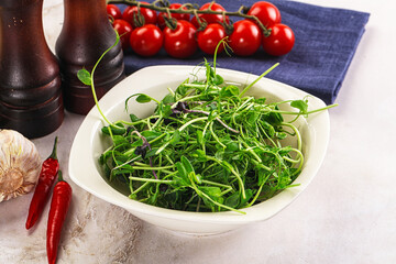Micro green plants for cooking