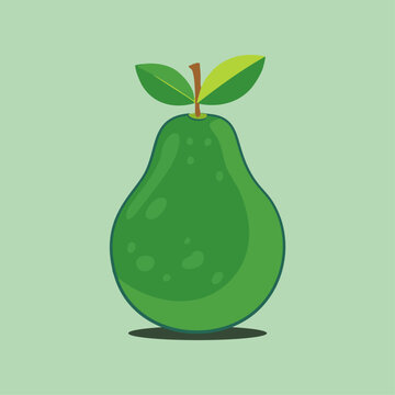 Guave Vector illustration fruit Guave.A guave with stem and leaves isolated on white