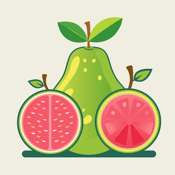 Guave Vector illustration fruit Guave.A guave with stem and leaves isolated on white