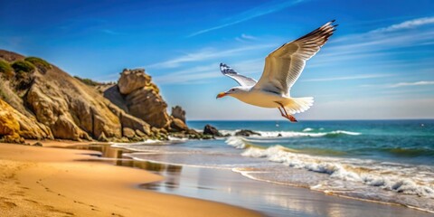 Fototapeta premium Seagull flying over sandy beach with small rocky outcropping in the foreground, sand, rock, seagull, wildlife, scenic spot