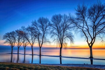 Serene Sunset Silhouette of Leafless Trees Reflecting in Calm Water