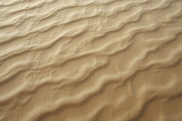 Obraz premium Rippling Golden Sand Dunes with Smooth Waves and Soft Natural Lighting