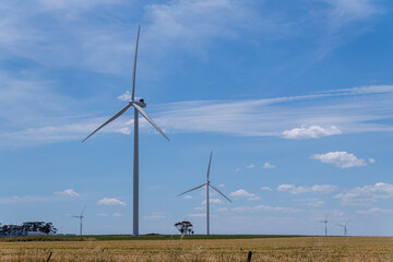 Windmills on Farm Land