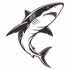 Creative animal icon  Shark vector illustration