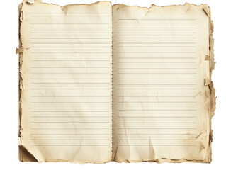 Torn Vintage Lined Notebook Paper with Distressed Edges