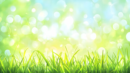 Fototapeta premium green grass background
