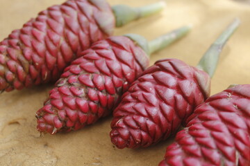 Bitter ginger, ginger lily, or zingiber zerumbet can be used as natural shampoo