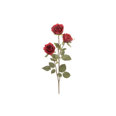 Fototapeta premium Bouquet of three red roses with green leaves on white background