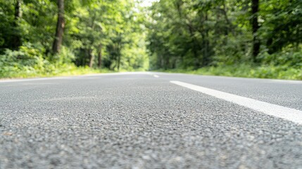 Fototapeta premium Road through lush green forest, summer drive