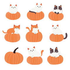 Cute illustrated cats group vector. Shelter worker feeding a group of cats care compassion.  There are many different colored cats that are grouped together Art & Illustration