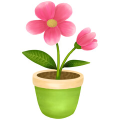 Pink Blooms in a Green Pot