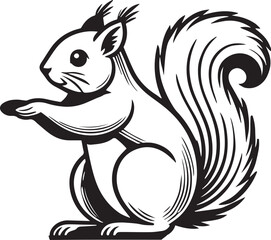 Squirrel vector in black and white