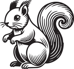 Squirrel vector in black and white