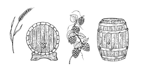 Vector set with wooden barrel for wine, beer, whiskey with a tap. Graphic vintage illustration common hop, wheat isolated on background. Hand drawn wood oak keg line sketch. For designers, prints