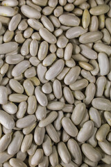 Fagioli bianchi cannellini. Cibo della salute.