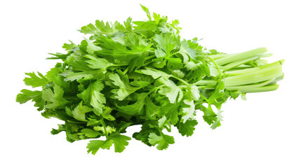 Fresh green celery bunch isolated on transparent background
