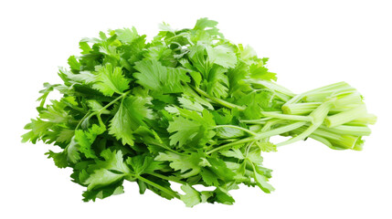 Bunch of fresh celery lying on transparent background