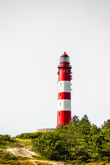 View of the dunes on the North Frisian island of Amrum. Landscape in the north. Nature on the North...