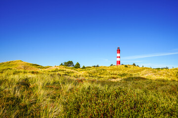 View of the dunes on the North Frisian island of Amrum. Landscape in the north. Nature on the North Sea island with a lighthouse.  © Elly Miller