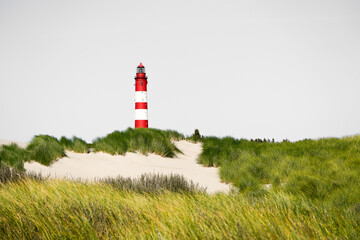 View of the dunes on the North Frisian island of Amrum. Landscape in the north. Nature on the North Sea island with a lighthouse.
